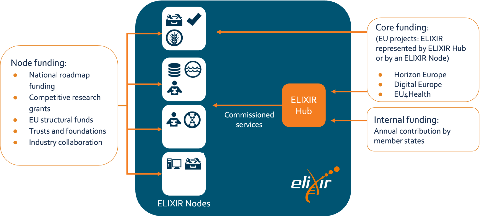 Diagram of how ELIXIR is funded