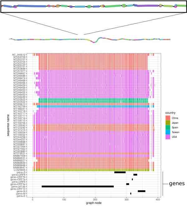SARS-CoV2 pangenome model from available genomes
