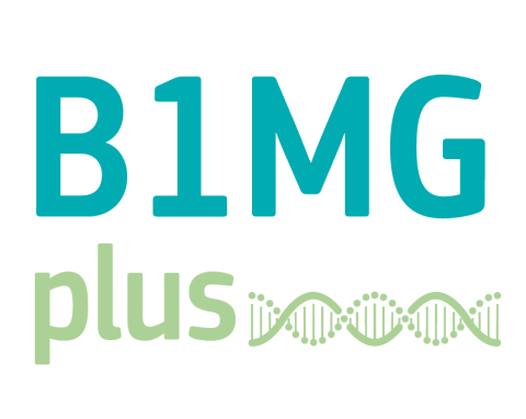 B1MGplus