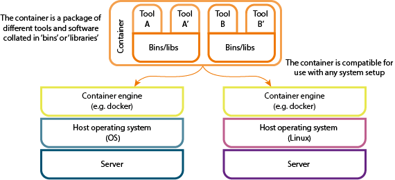 Diagram showing what a container is made of (tools and bins/libraries) and how it is compatible with different operating systems (e.g. Mac OS or Linux)