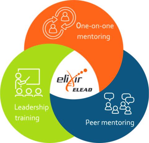 ELIXIR ELEAD Pillars