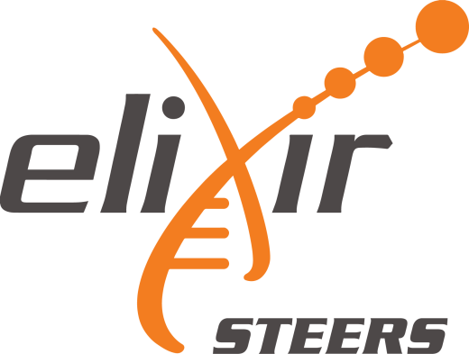 ELIXIR STEERS logo