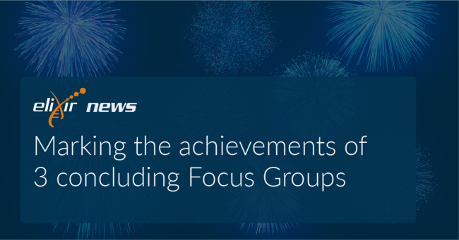 Marking the achievements of 3 concluding Focus Groups